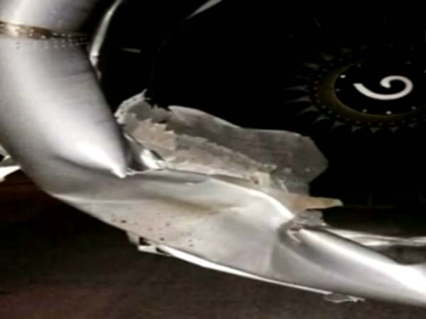 SpiceJet flight hits animal before take-off at Surat Airport SpiceJet flight hits animal before take-off at Surat Airport