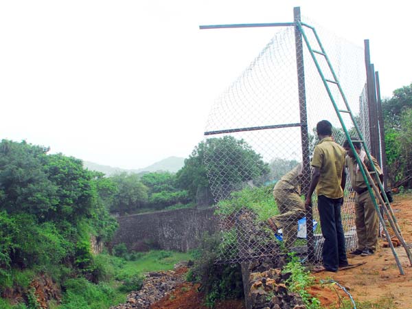 Scare at Vandalur as tiger goes 'missing' from enclosure in zoo