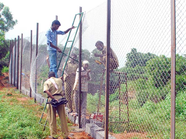 Scare at Vandalur as tiger goes 'missing' from enclosure in zoo