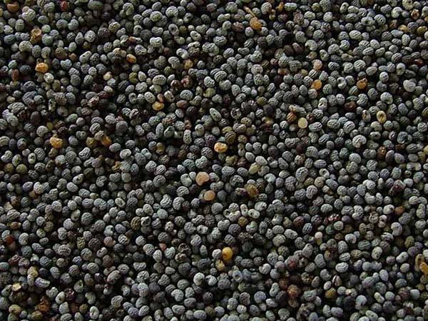 காரியங்களில் வெற்றி பெற: 