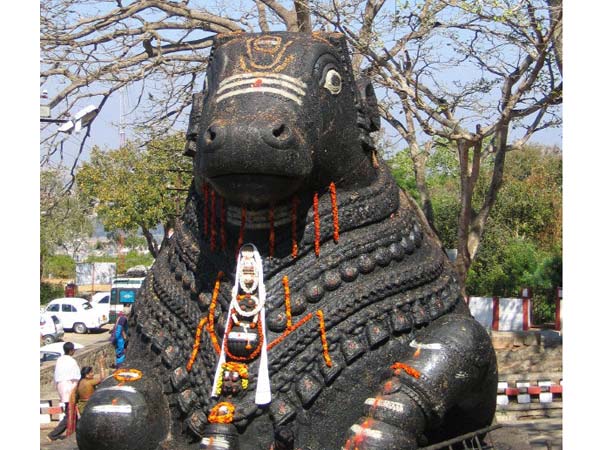 மாற்றுதிறனாளிகள் வெற்றி பெற: 