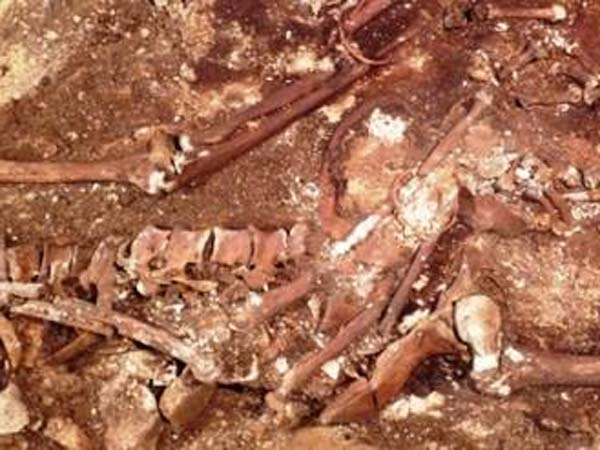 30 வயதான பெண் மம்மி: