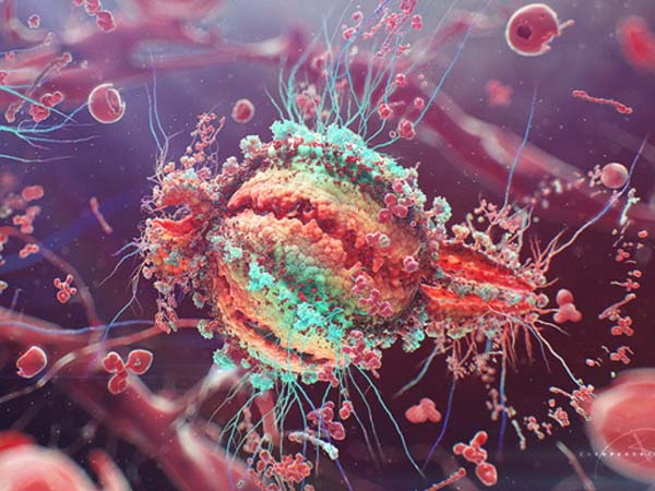  ஆய்வாளர்கள்