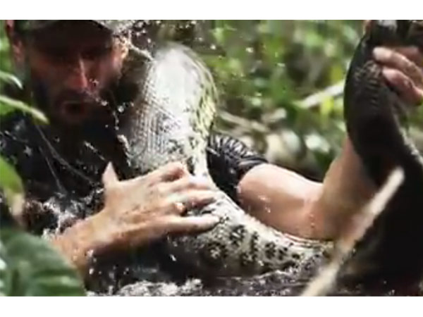 Daredevil naturalist who allowed himself to be swallowed alive