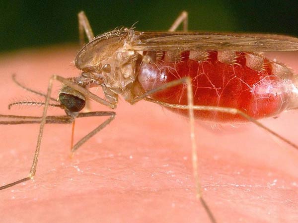 தொடர் ஆய்வுகள்