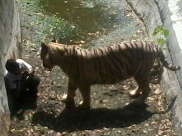 கூடுதல் பாதுகாப்பு நடவடிக்கை...
