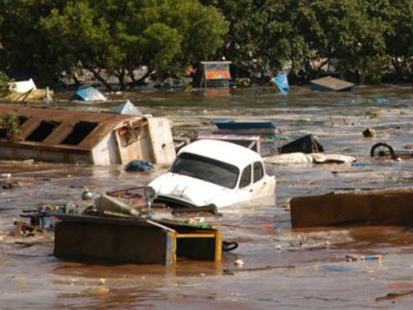 பாதிக்கப்பட்ட கடற்பரப்புகள்