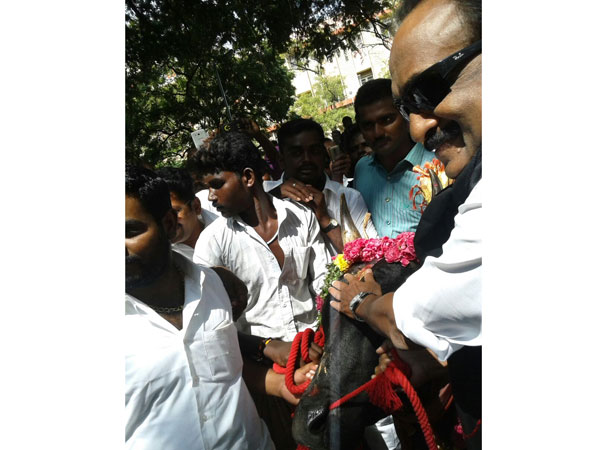 Vaiko enjoyed cock fight in Madurai…