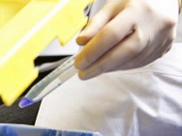 ஆய்வகமான மண்: