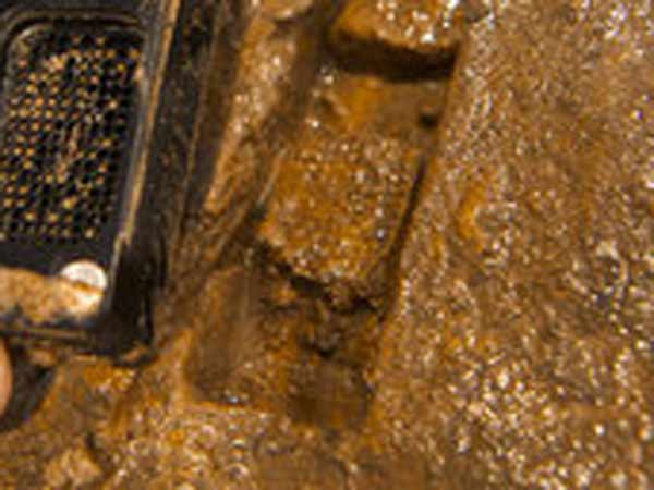 மண்ணிலேயே ஆய்வு: