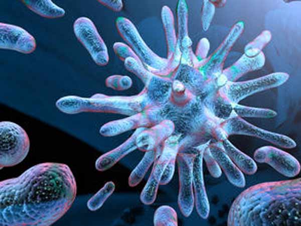 பிரிந்திருந்த பாக்டீரியங்கள்: