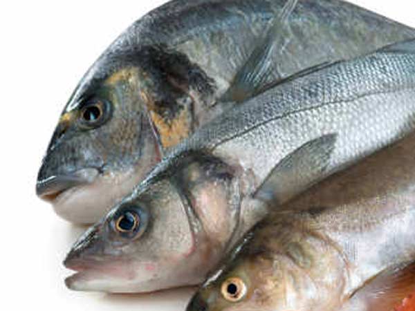 மீன்வளம் பாதிப்பு