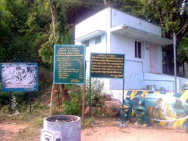 Tiger panic in Mundandurai forest temple