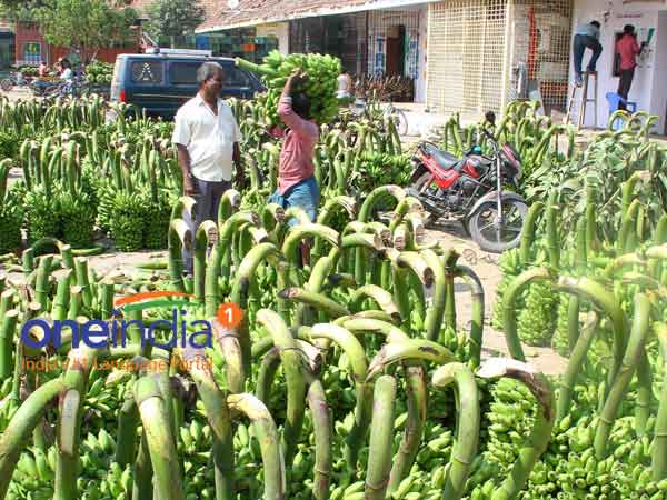 Pongal seer purchase in Tirunelveli market