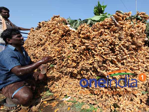 Pongal seer purchase in Tirunelveli market
