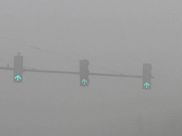 தை பிறந்தால் வழி பிறக்குமாம்