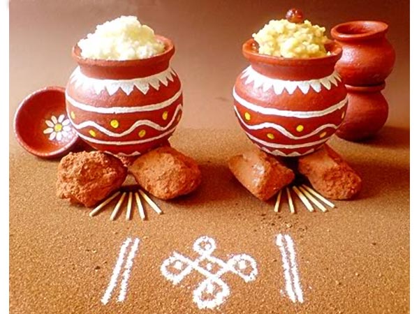 யானைகள் முகாமில்