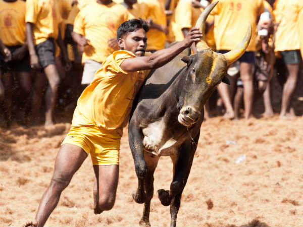 Kathir's Thaazha Parakkum Kaakkaigal Part 18