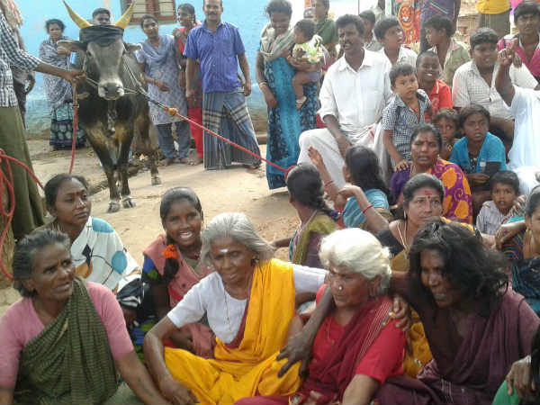 ஜல்லிக்கட்டு தடை