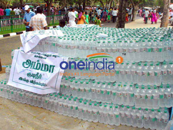 Lakhs throng Vandalur zoo on Kaanum pongal