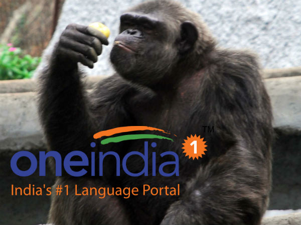 Lakhs throng Vandalur zoo on Kaanum pongal