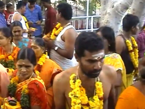 200 ஆடுகள் பலி