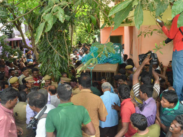 How this leopard entered into Nellai from Kalakkadu?