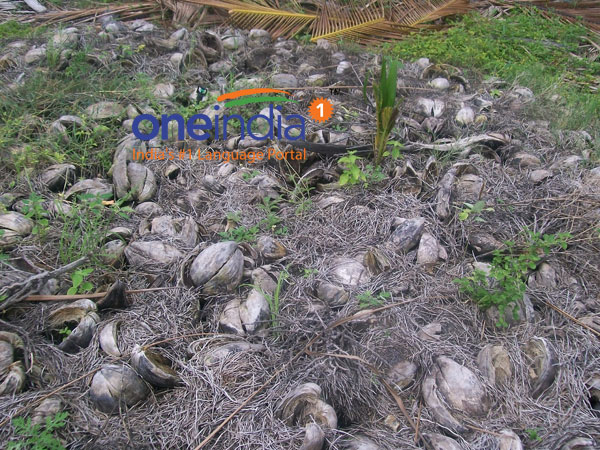 இருக்க வேண்டியவை இருந்தால்