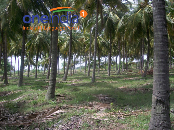 எதையும் விற்பதில்லை