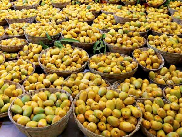 மாம்பழத்துக்கு தடை: