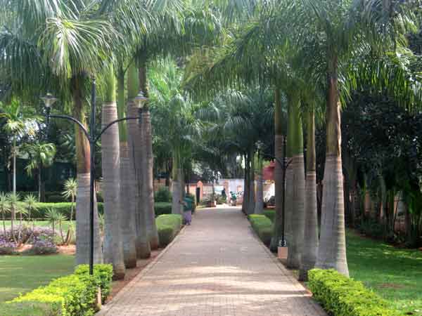 மலையிலும் சோதனை தேவை: மலையிலும் சோதனை தேவை: