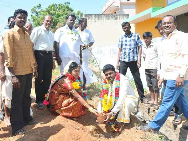 Newly married couple plant a tree in Nellai…