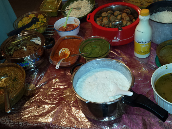 US Tamils start Organic Farming in St Luis