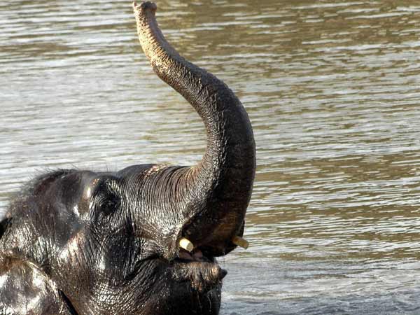 பிரிய மனமில்லையே