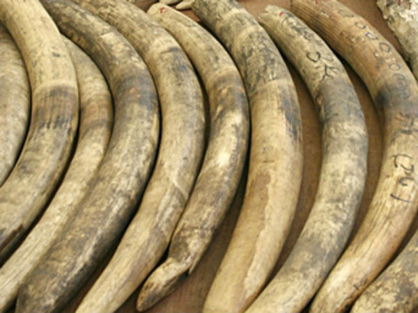 கோவில்பட்டிக்கு பயணம் கோவில்பட்டிக்கு பயணம்