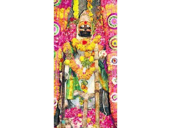 பிரியாணி திருவிழா