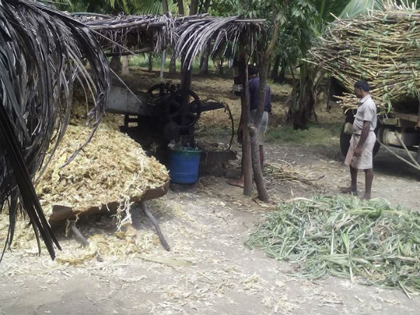 Officials inspect vellam manufacturing units in Nellai