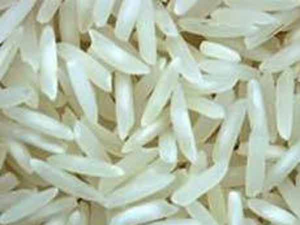பொன்னி, சீரகசம்பா நெல்ரகம்