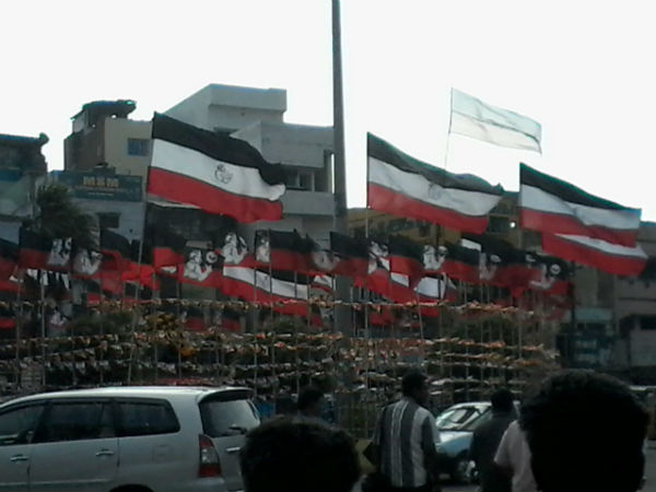 கட்சிக்கொடி தோரணங்கள்