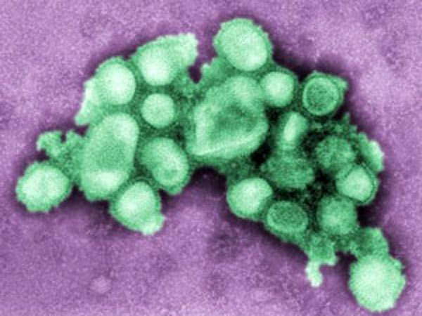 அலட்சிய அதிகாரிகள்