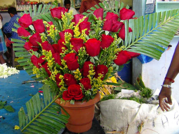 கண்ணும் கண்ணும் பேசுமம்மா...