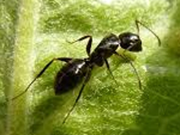 கலர் கலராய் கழிவுகள்...