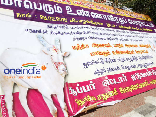 விரைவில் ஜல்லிக்கட்டு