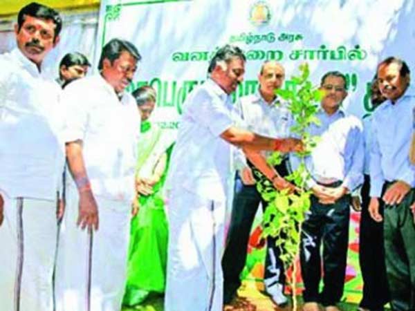 969 வில்வ மரங்கள்