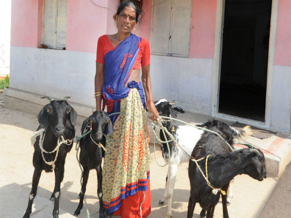 சுய உதவிக் குழுக்கள்