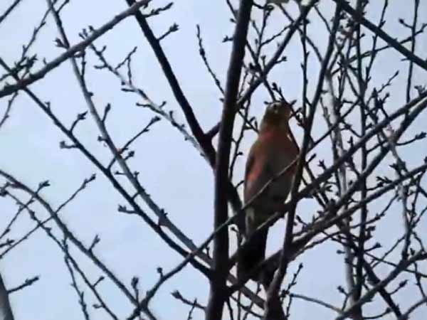 கண்டு கொள்ளாத ராணுவம்...