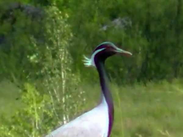 கோரிக்கை...