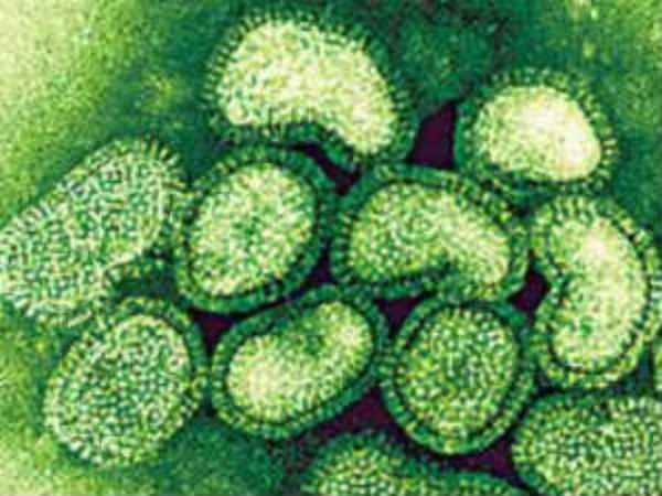 30,000 பேர் பாதிப்பு