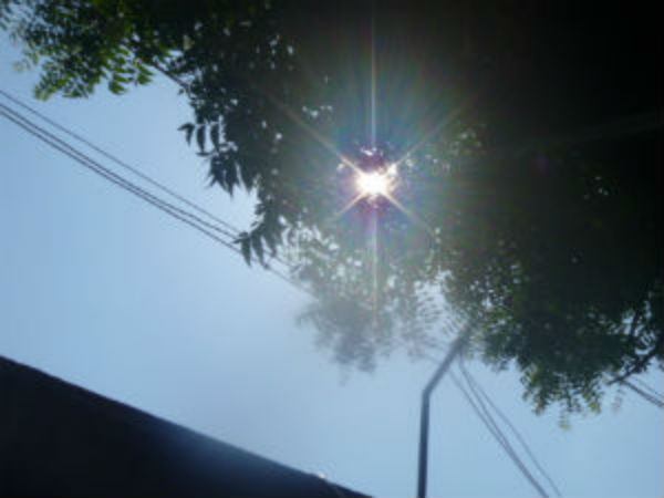 சதமடித்த வெயில்