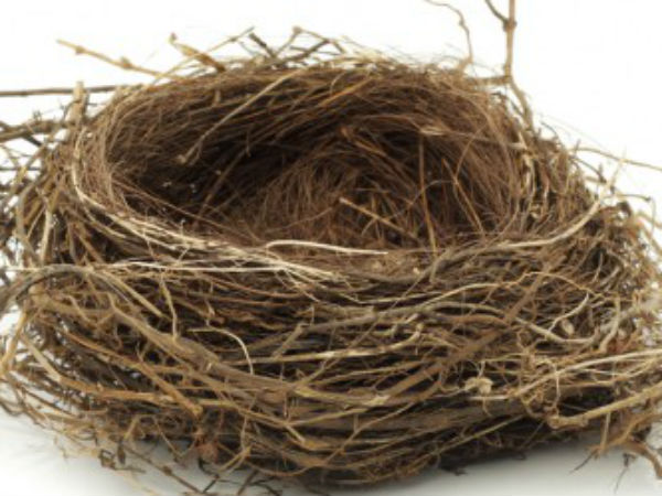 puducherry NGO donates sparrow nest for all the houses… puducherry NGO donates sparrow nest for all the houses…